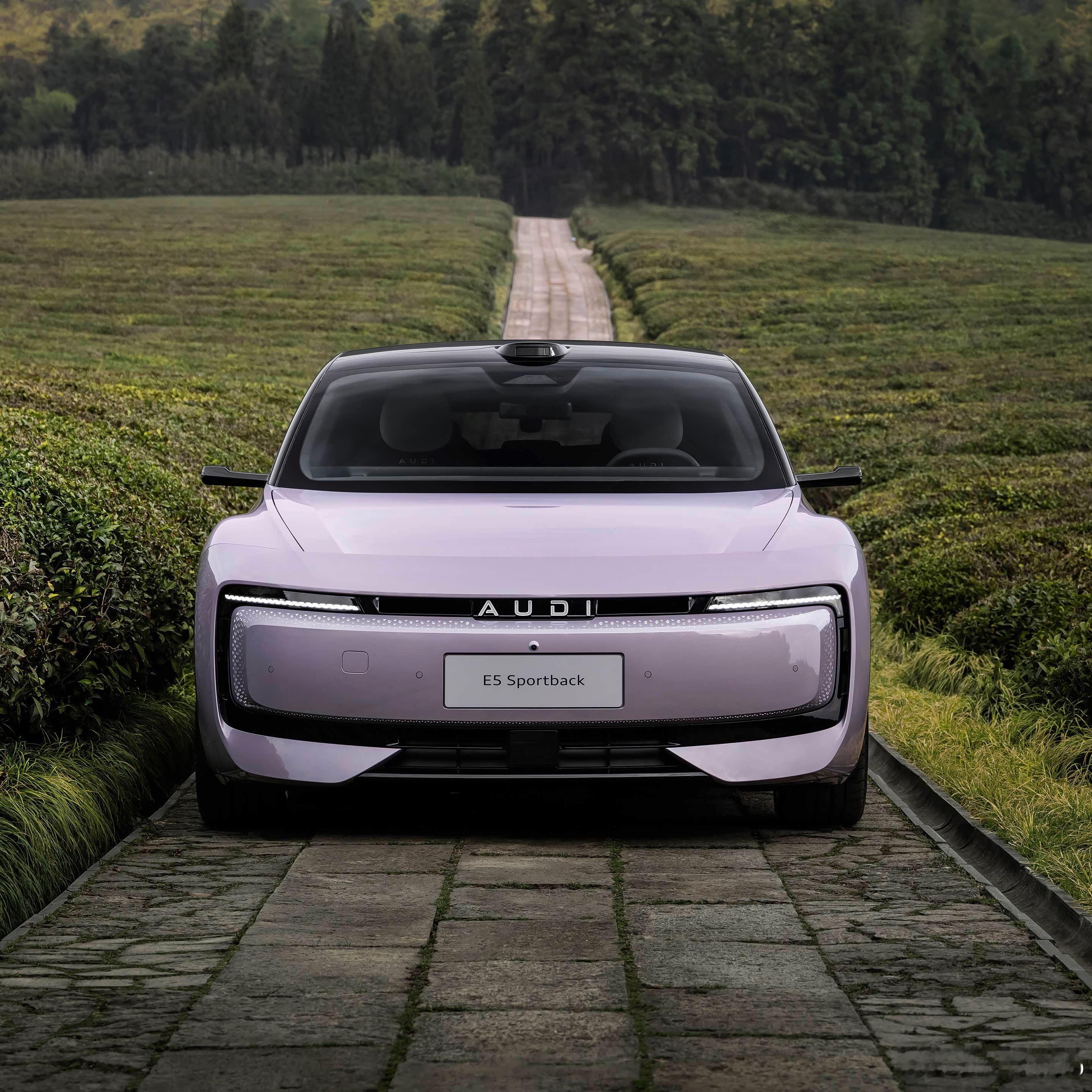 奥迪E5 Sportback我觉得真挺帅的，为啥很多人不喜欢？因为它不是四个圈的