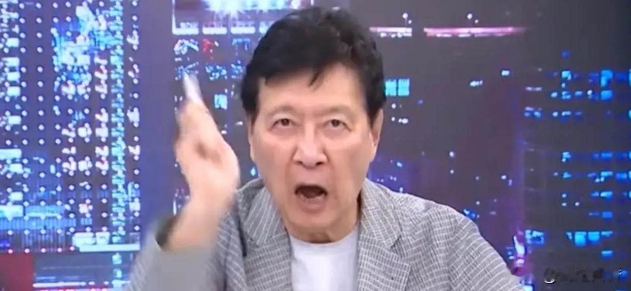 赵少康太没有格局了，张亚中指责国民党主席选举中存在“酱缸文化”，国民党“酱缸文化