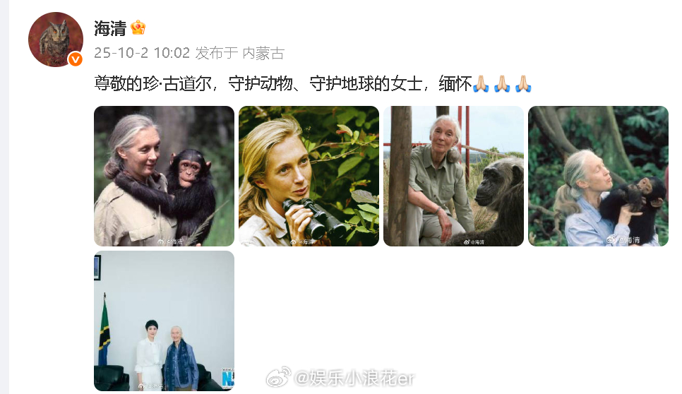 海清悼念珍古道尔 “尊敬的珍·古道尔，守护动物、守护地球的女士，缅怀[祈祷][祈