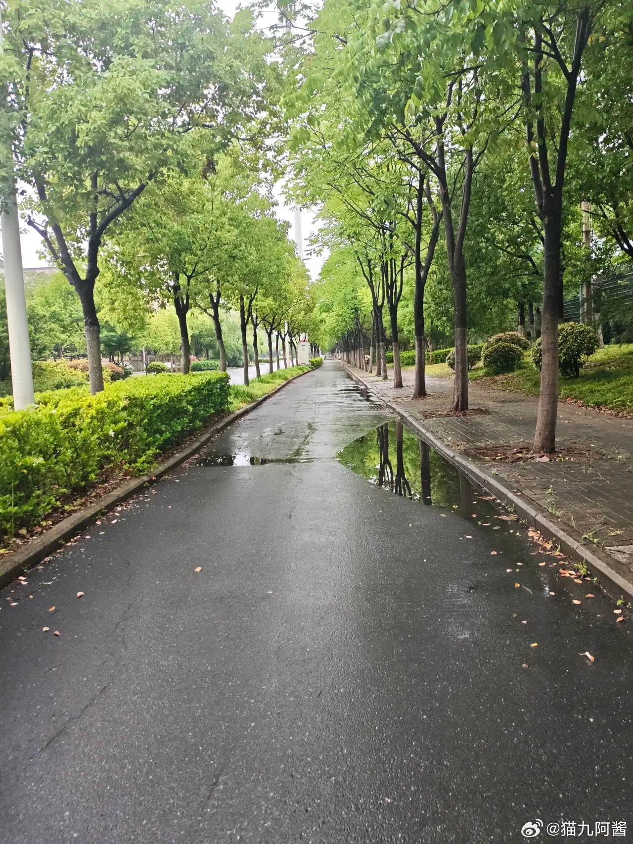 高温之后又开始乱穿衣了常言道：二四八月乱穿衣，说的正是现在！有穿短袖的，也有穿的