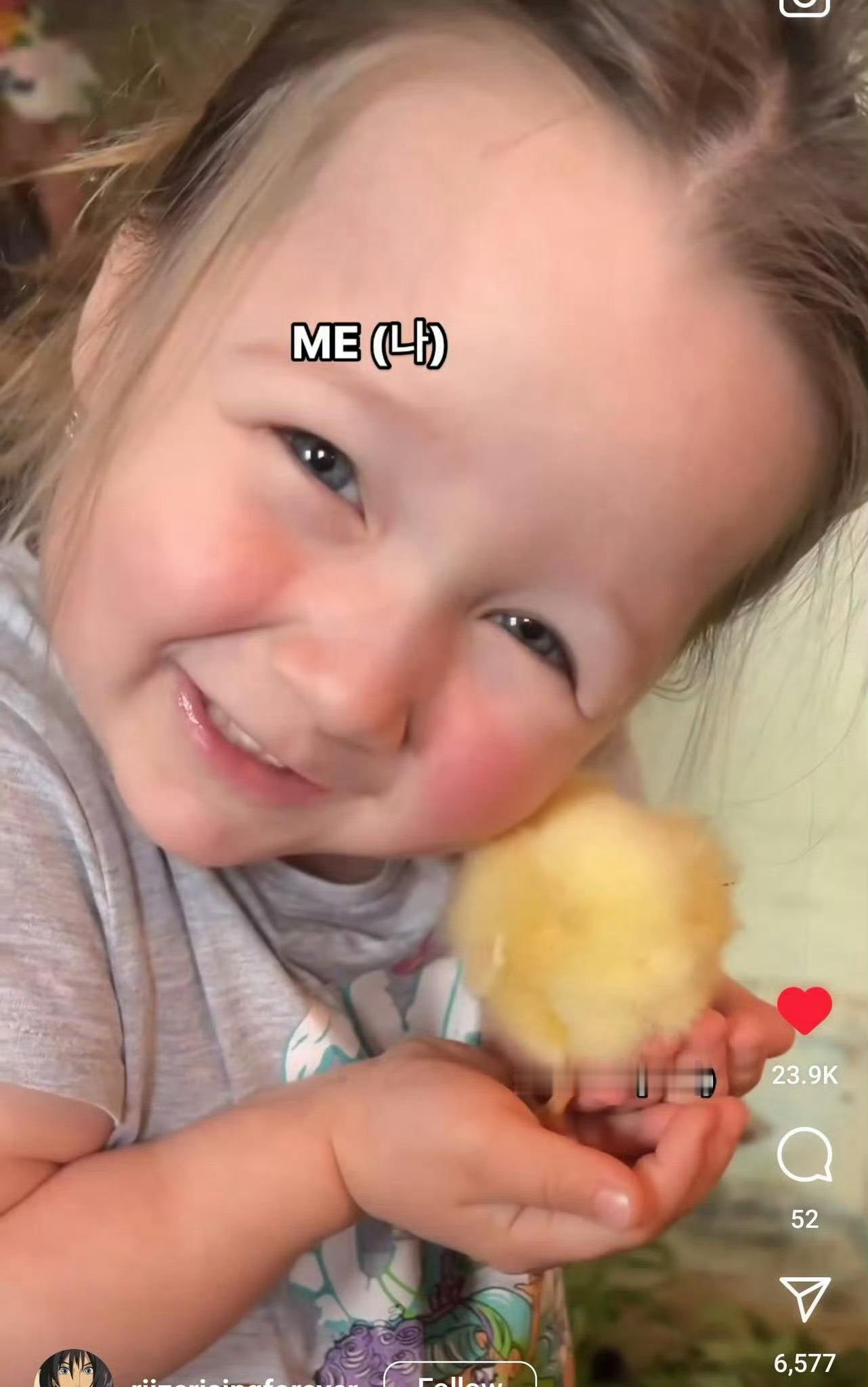 这种时不时冒出惊喜视频的日子简直太美妙了 
