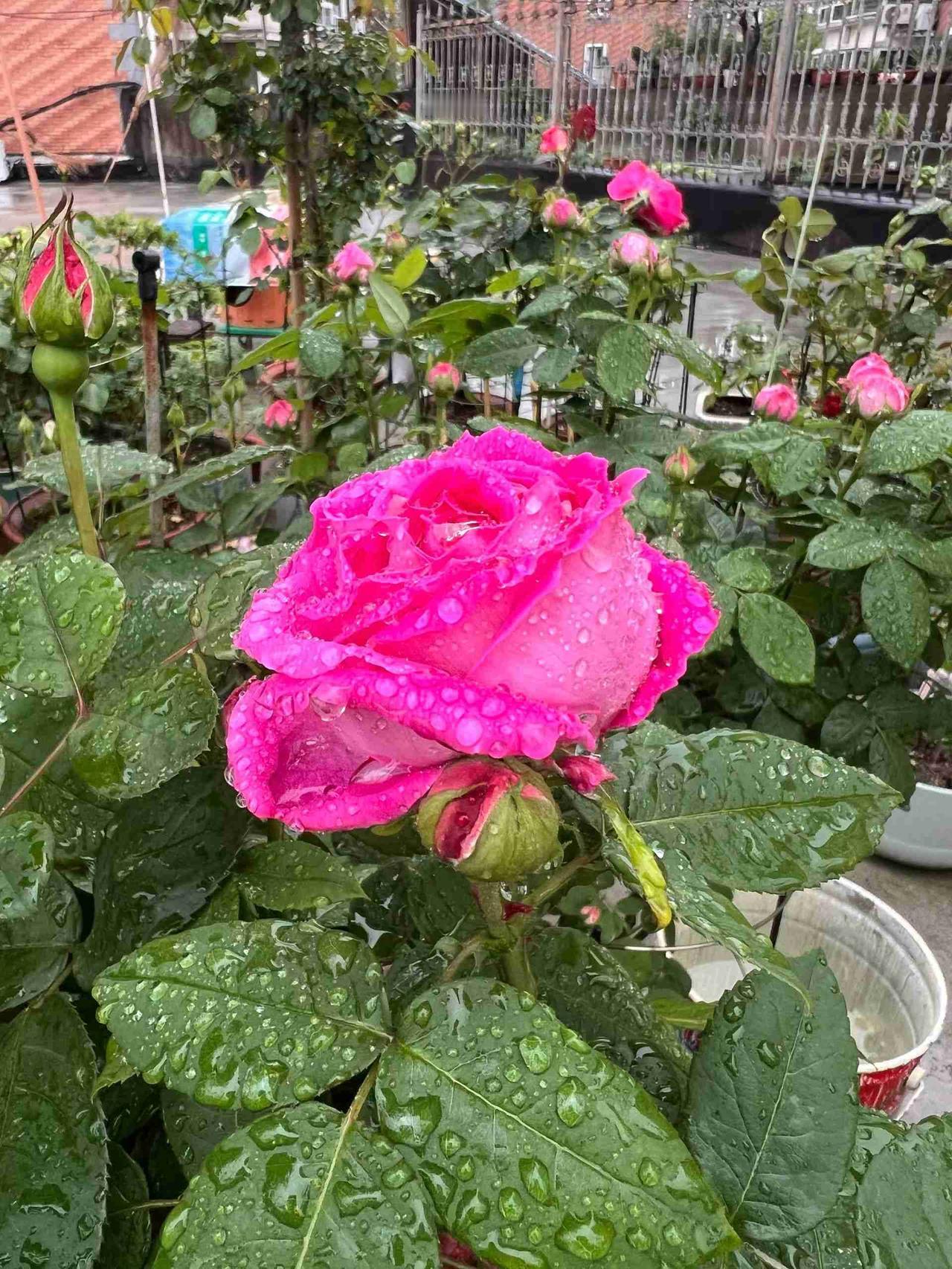 带定位晒今日生活 又到周末啦，历经几小时颠簸，我终于回到家。回家的路说长也长，要