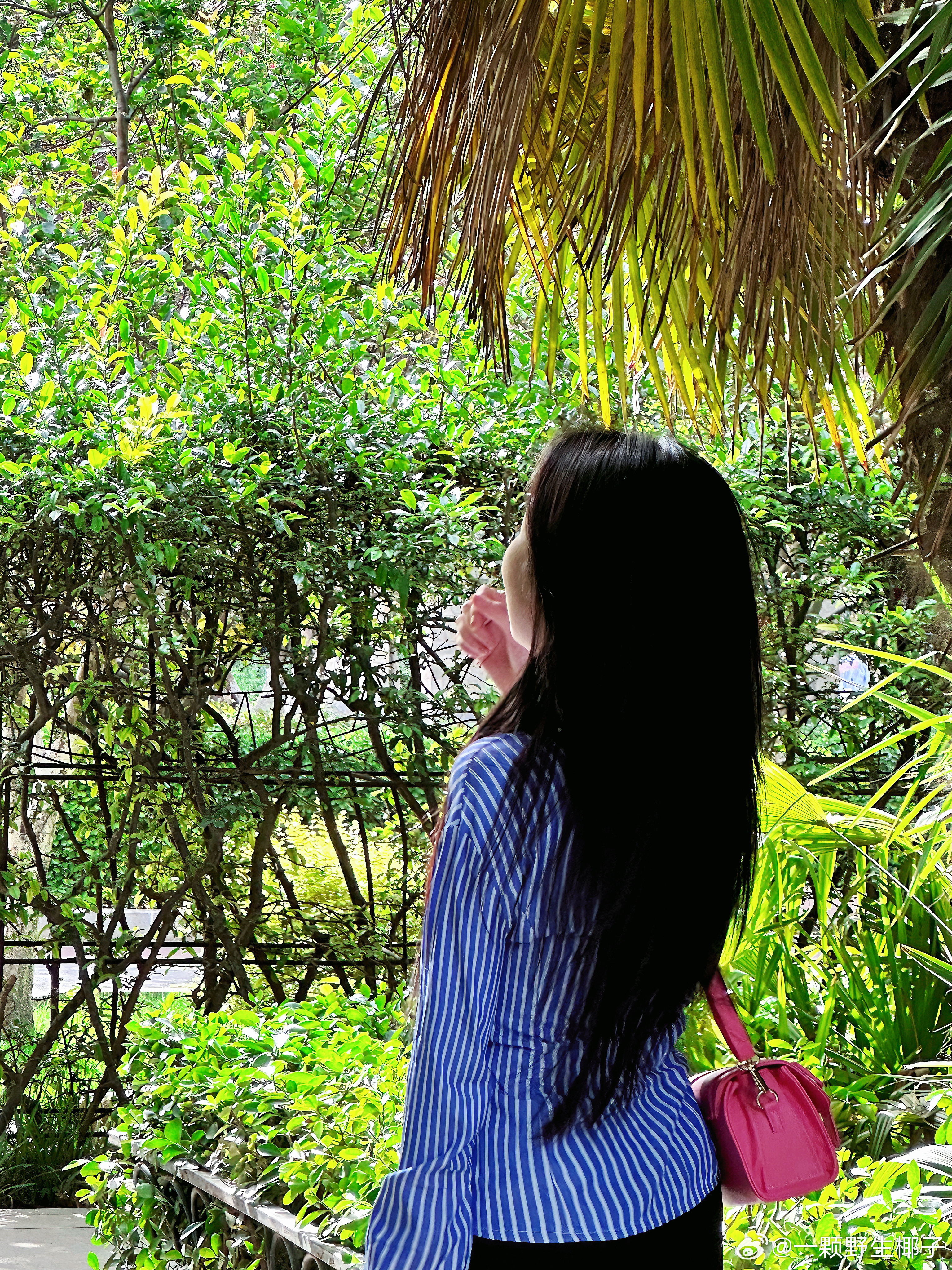 吸氧时刻～☀️☀️ ​​​
