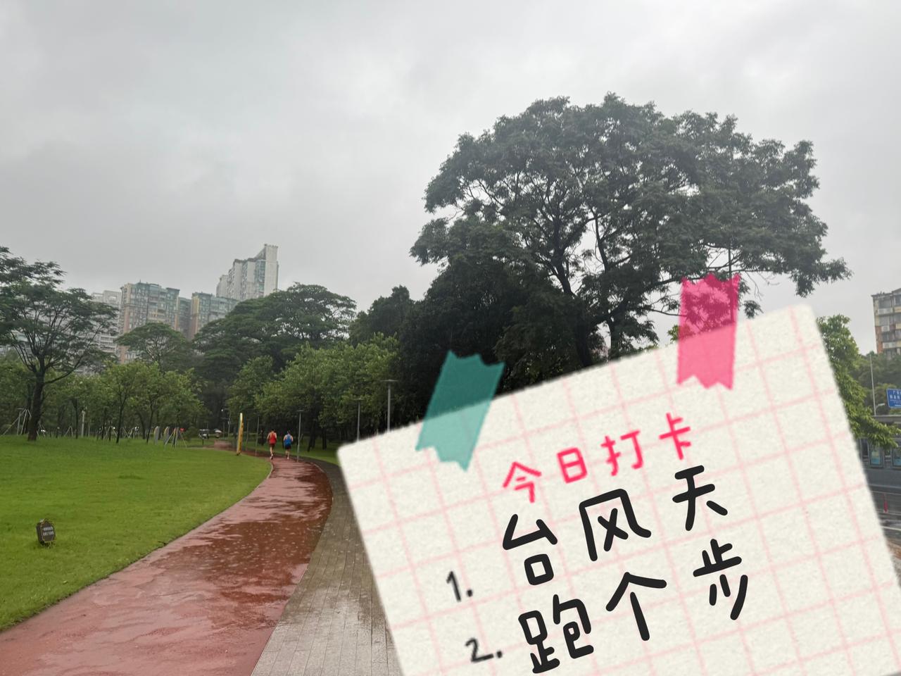 台风天·天河公园·3 km 雨中打卡
07:22 · 广州 · 第3号台风日
0