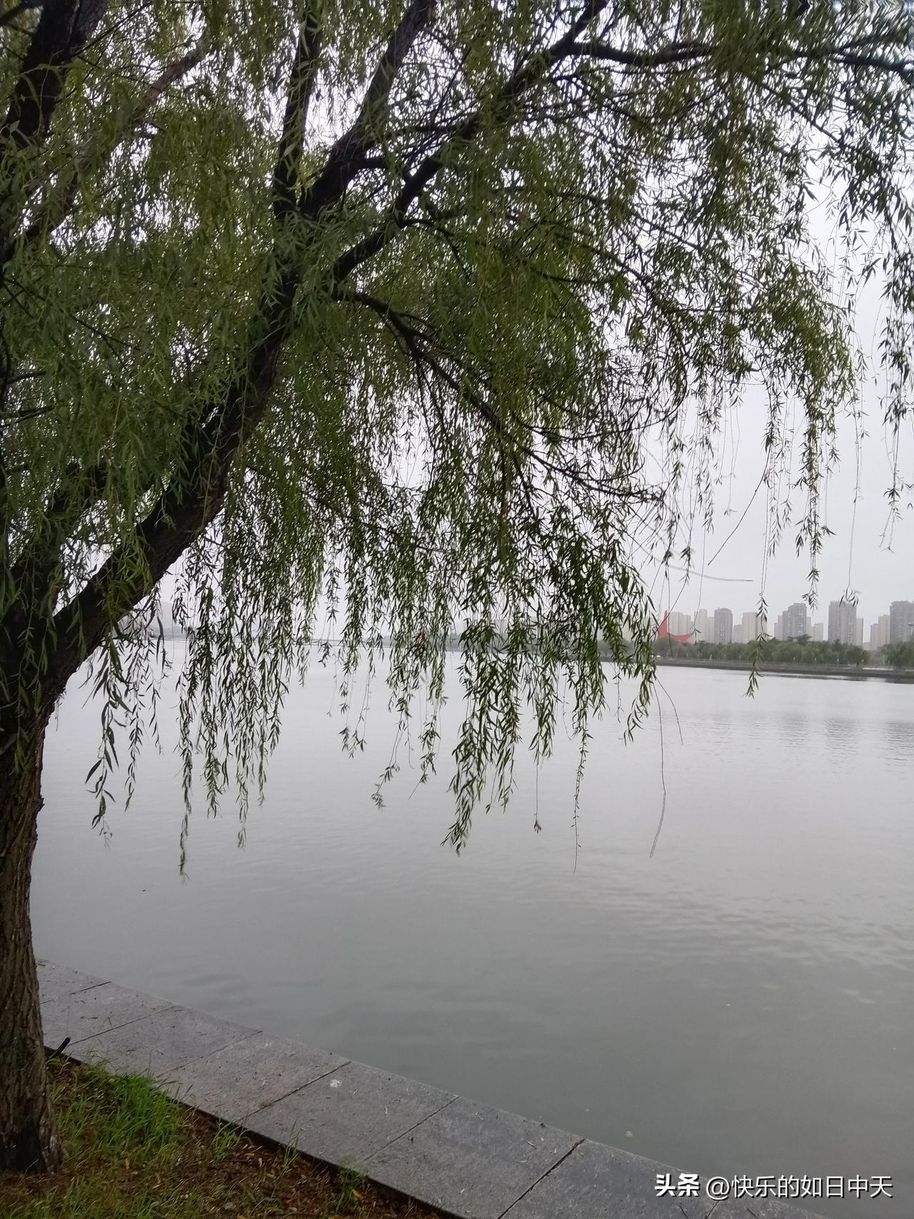 著名心理医生
一段非常精辟的话：
​​“不要脸不要命，走出一切心理疾病。焦虑是你