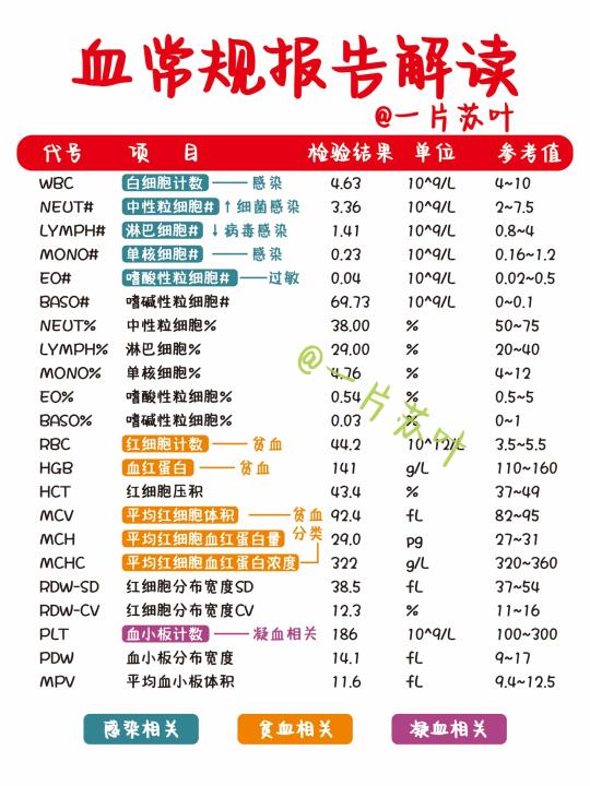 护士笔记✅血常规报告📒解读篇❗️