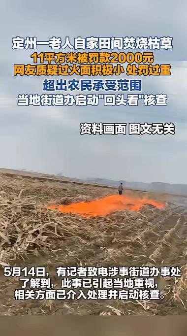简直匪夷所思！自家地里烧小片枯草，竟被顶格罚款2000元！
 
就只是在自家田里