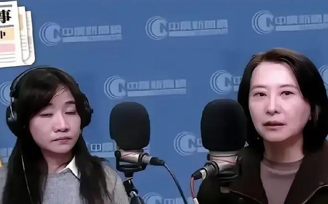 国民党籍“立委”王鸿薇在一档节目中说，如果大陆不停止在台湾海域巡航，国民党将联手