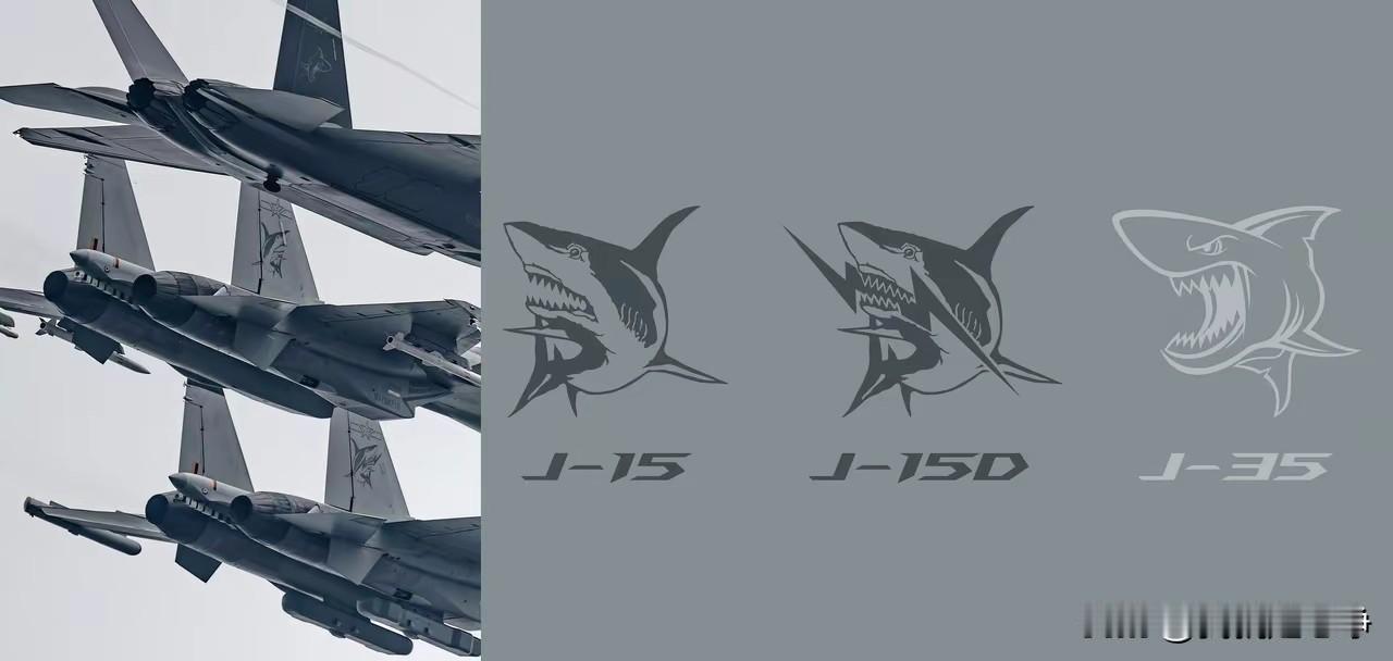 咱们海军的喷绘真的是越来越凶了，不过越凶悍我越喜欢
下一代战斗机，估计鲨鱼身上就