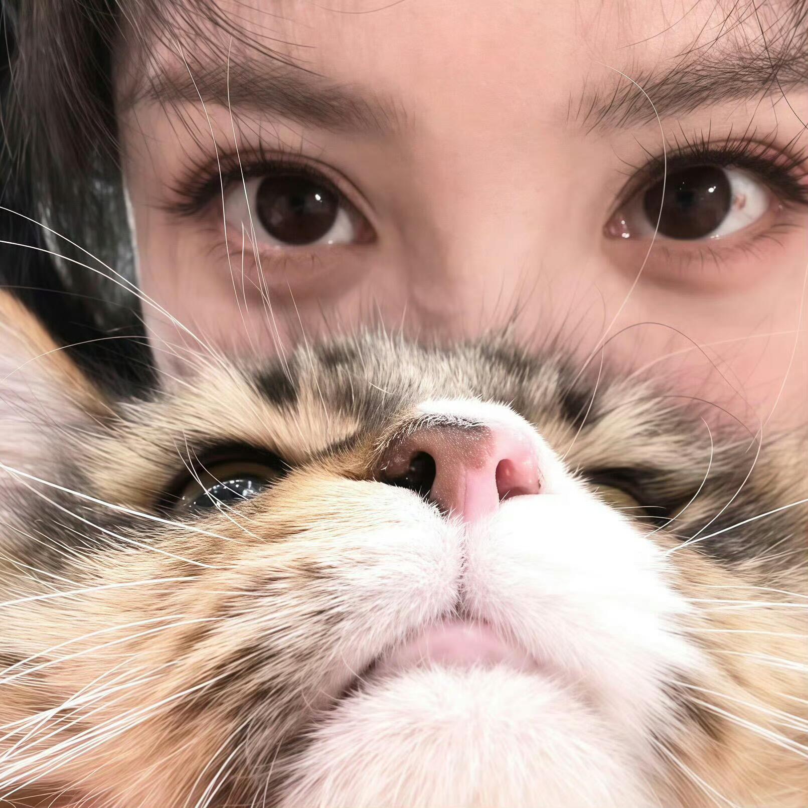 wb头像六选一！ 