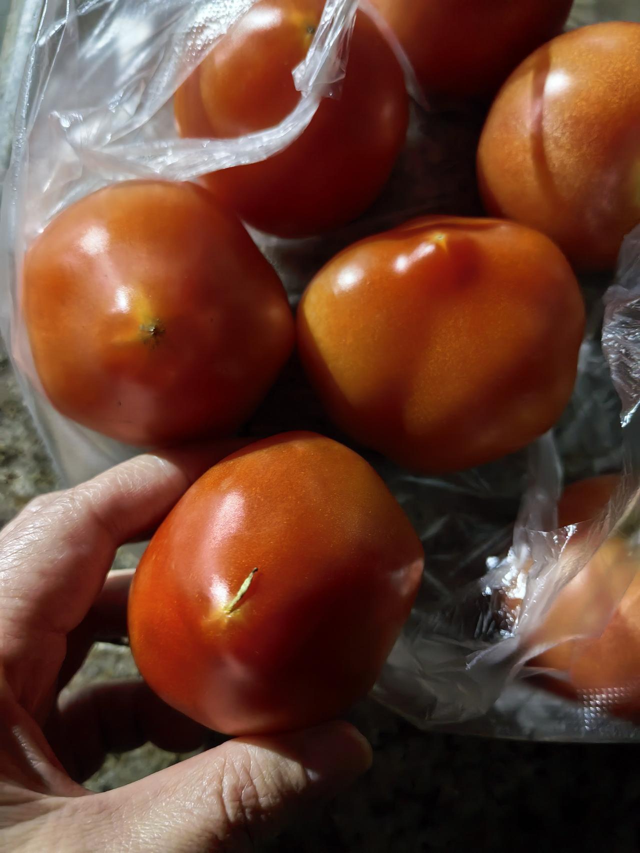 都说养儿是来讨债的。刚刚他说要出去走走，我高兴得不得了，结果回来却是一肚子气……