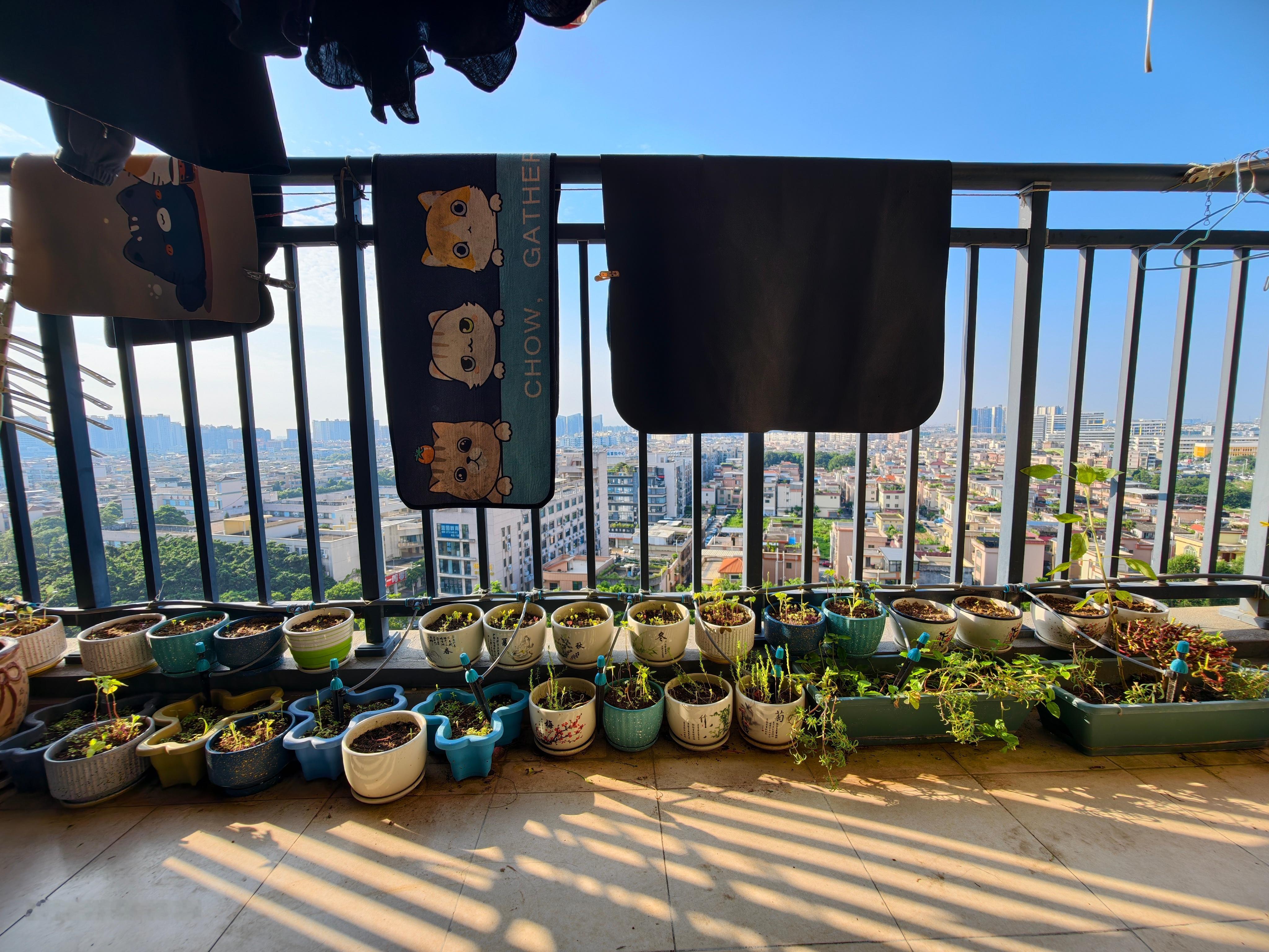 摄影 大大大晴天！ 佛山