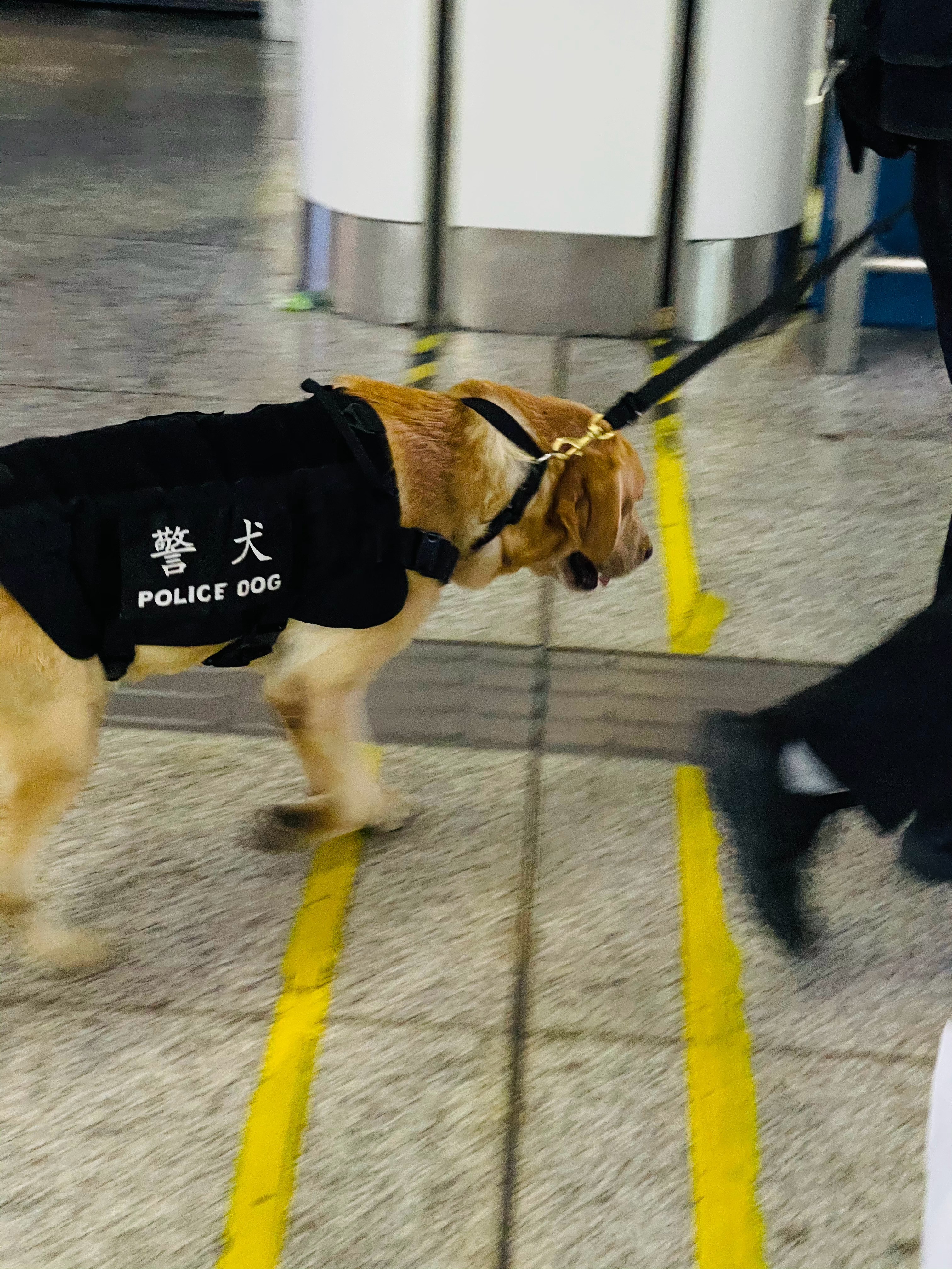 修勾不认识字，还在认真上班，不是滋味。 ​​​