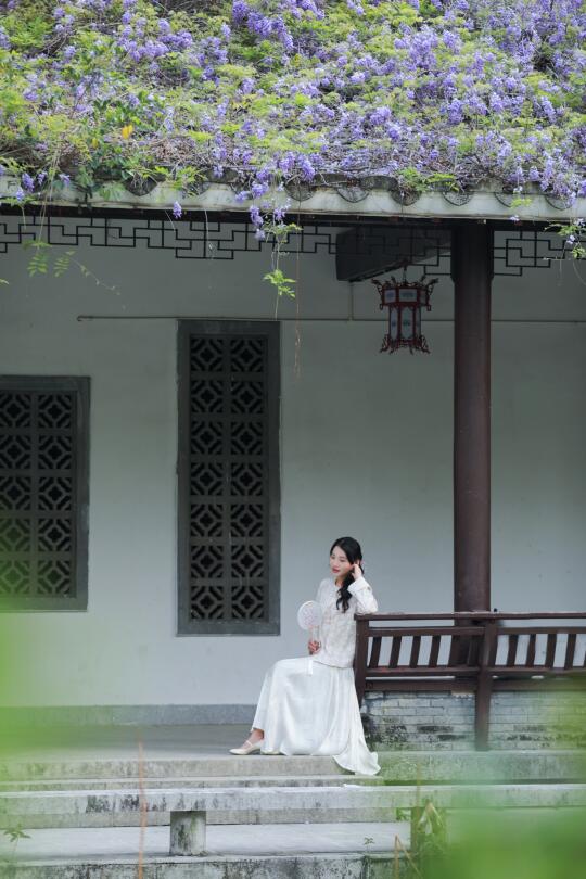 福州市中心也可以拍紫藤花了！
