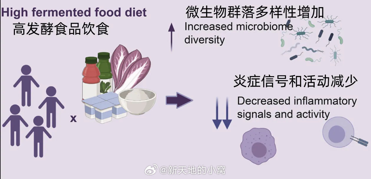 关注生活 关注健康一种被严重低估的传统食物！研究发现：日常吃点，降低身体19种炎