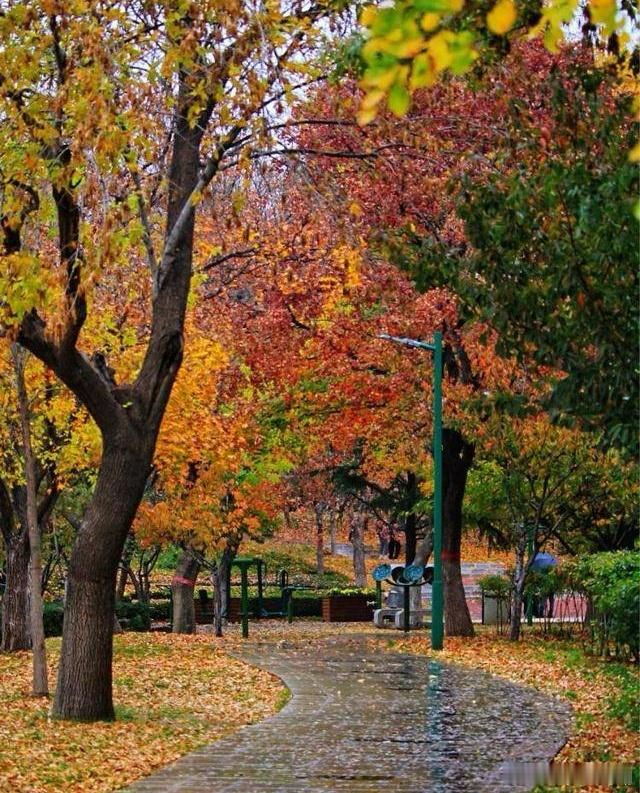 心里话        人生百态，喜怒哀乐。微笑面对顺逆境，都能让自己保持乐观心态