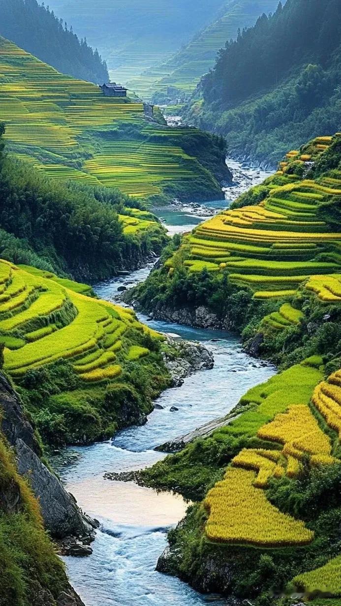 #秋日随手拍##手机风景照分享# #随拍秋日风景# #最美的风景照片# #随手拍