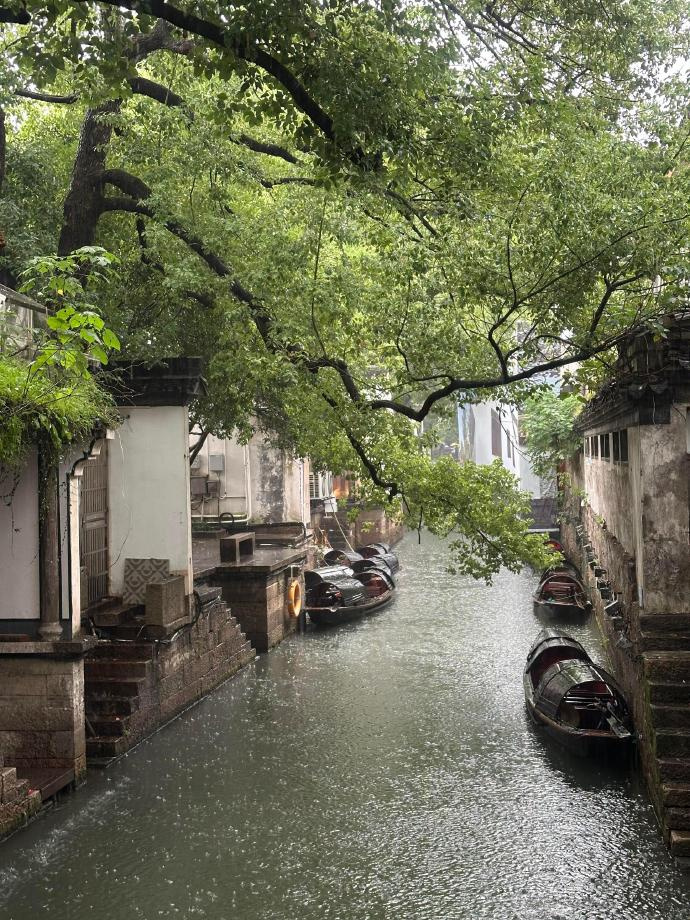 烟雨如江南🌧️山水如墨染  ​ ​​​