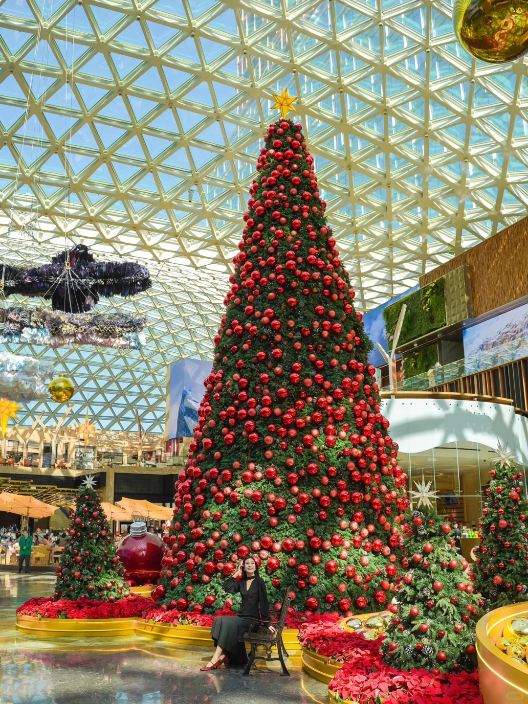 离开澳门前一定要拍一次温室版圣诞树🎄