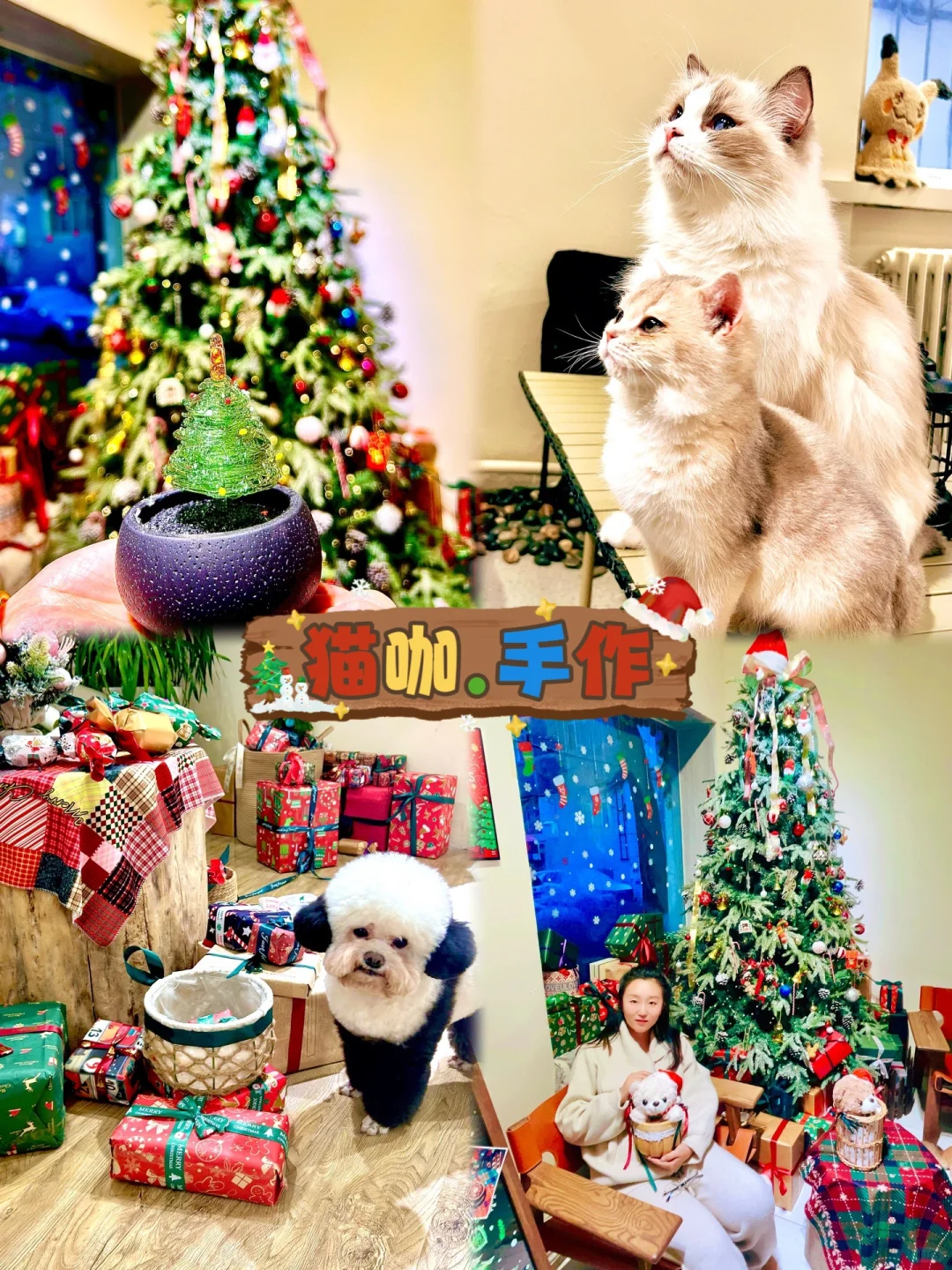 藏在猫咖里的手作店一小时完成拔丝圣诞树🎄