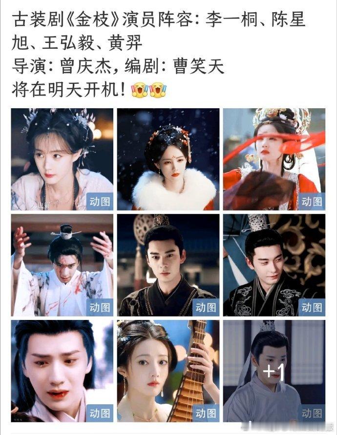 李一桐陈星旭新剧金枝明天开机李一桐新剧金枝明天开机 备受期待的《金枝》明天开机，