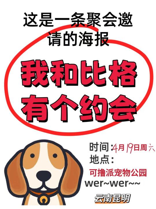 想要疯狂撸比格犬的宝们机会来了！