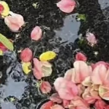 1200不要轻易躲开属于自己的阳光，不要轻易抛弃属于自己的世界，不要轻易丢掉属于