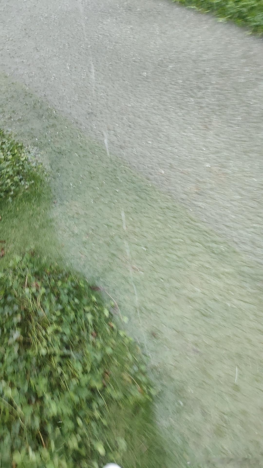 成都暴雨走路回家十几分钟，差不多全身都打湿了。街上已经积水，印象中第一次见这么大
