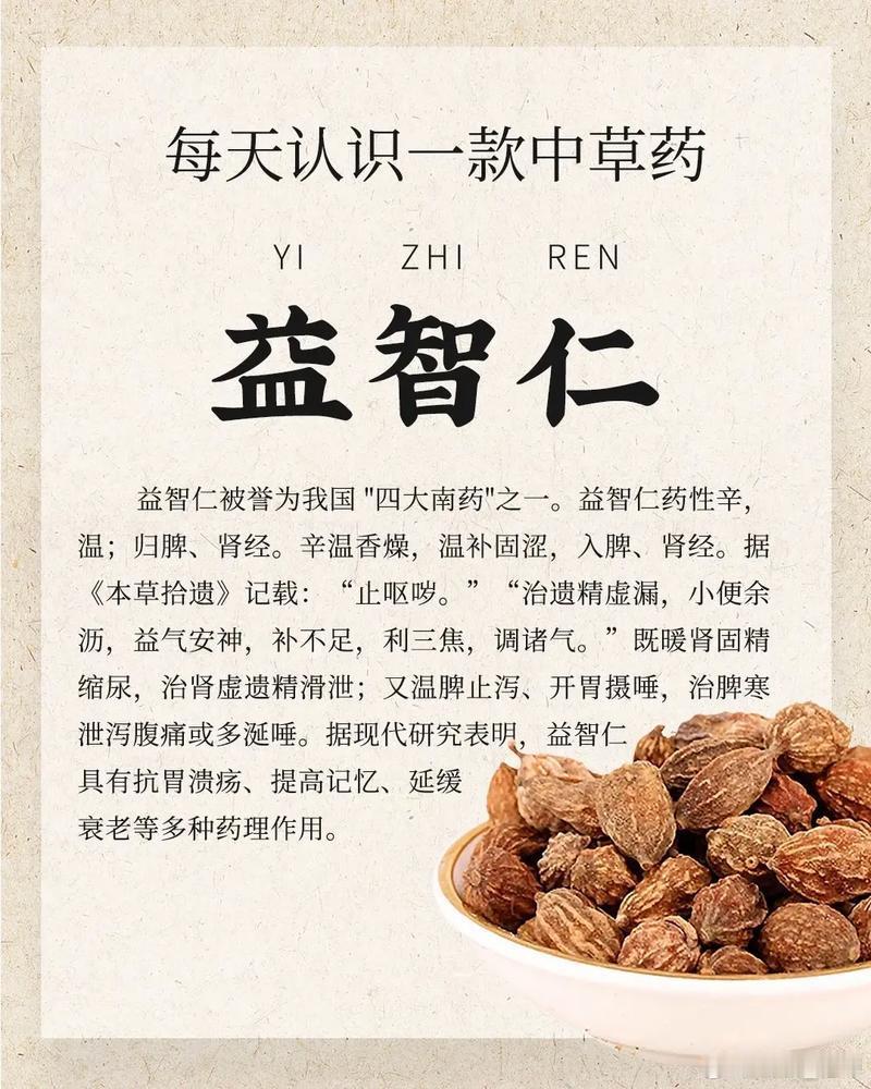 嘴流口水是脾，夜 尿多，是肾气不固，益智仁炒一下是温脾肾散湿寒之气。益智仁配远志