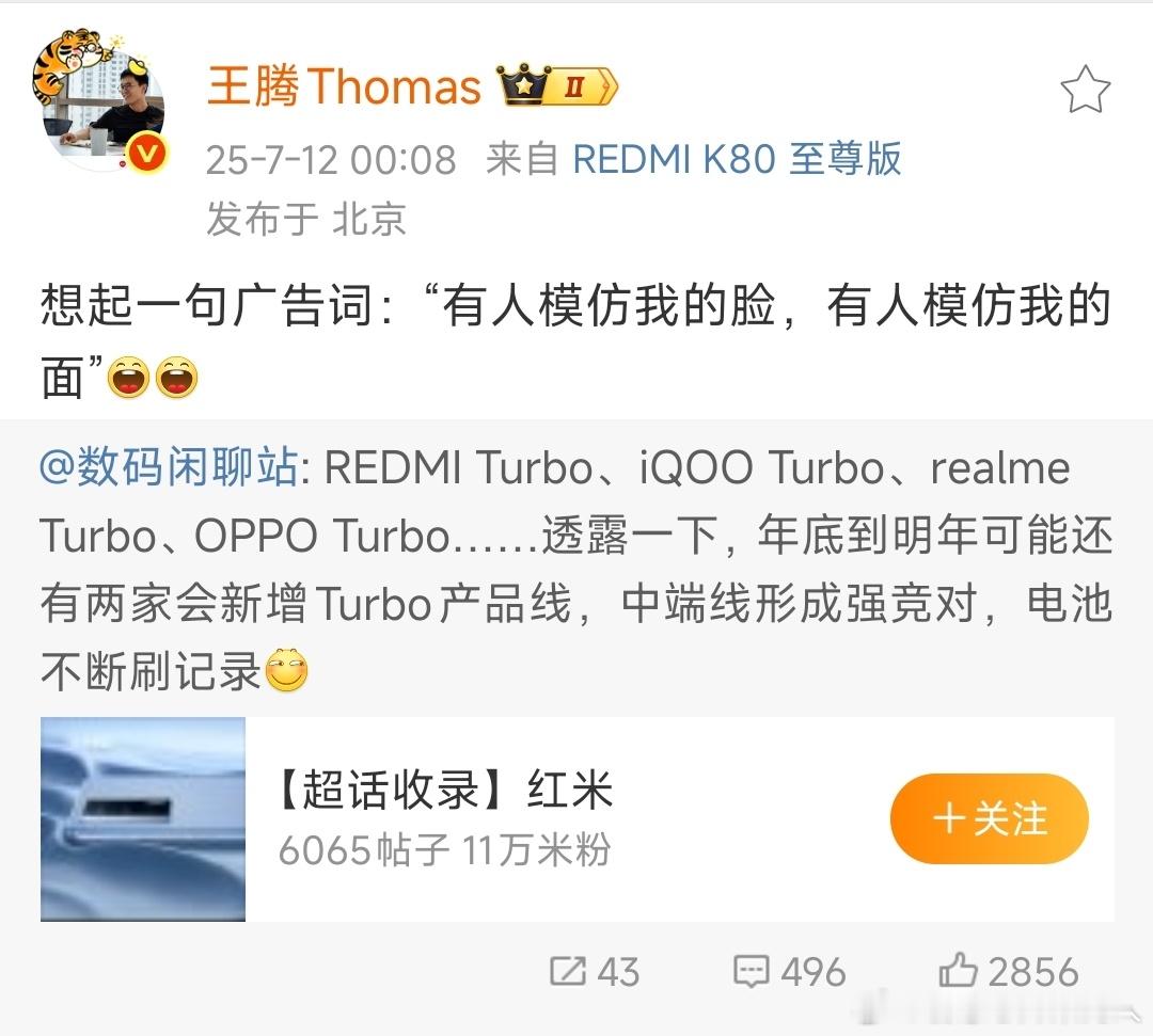Turbo这个子档位是粮厂定义的，之前只有粮和蓝做，以主芯片的性能做核心卖点。这