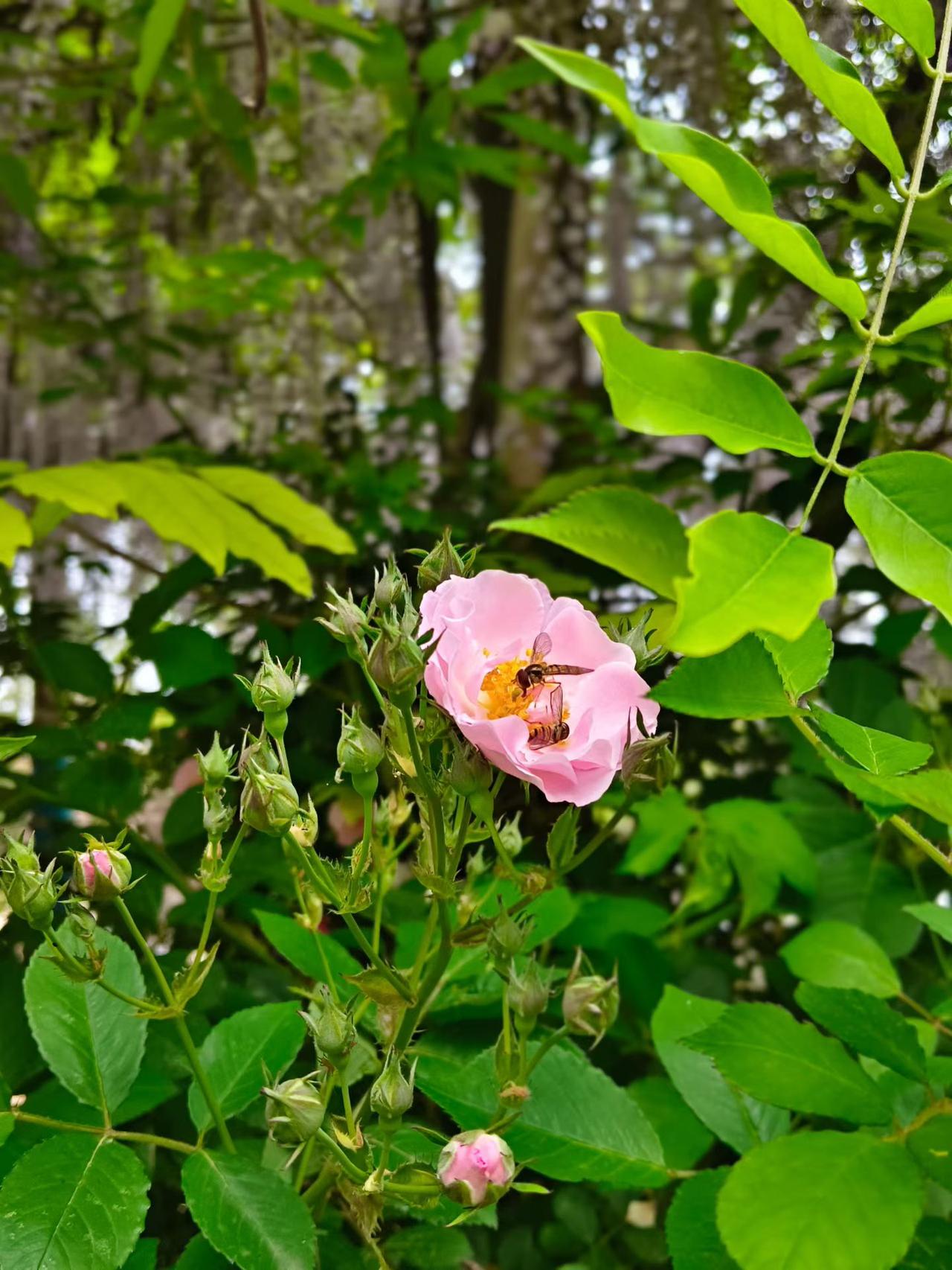 为什么有的男人情绪如此极端？在家中，他们暴跳如雷，殴打妻子、辱骂妻子、摔砸东西，
