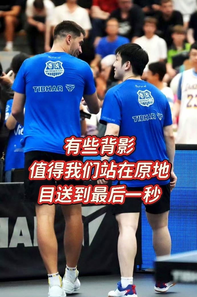 灯光不会立刻熄灭，故事也许还有续集。今夜赛后，萨尔与东哥之间会有一场正式的欢送。