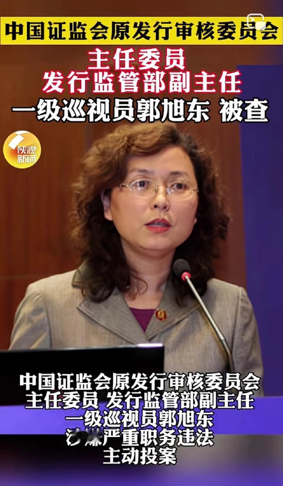 这个女人，究竟是聪明，还是愚蠢？
​​曾被称为“发审女王”的郭旭东，在证监会工作