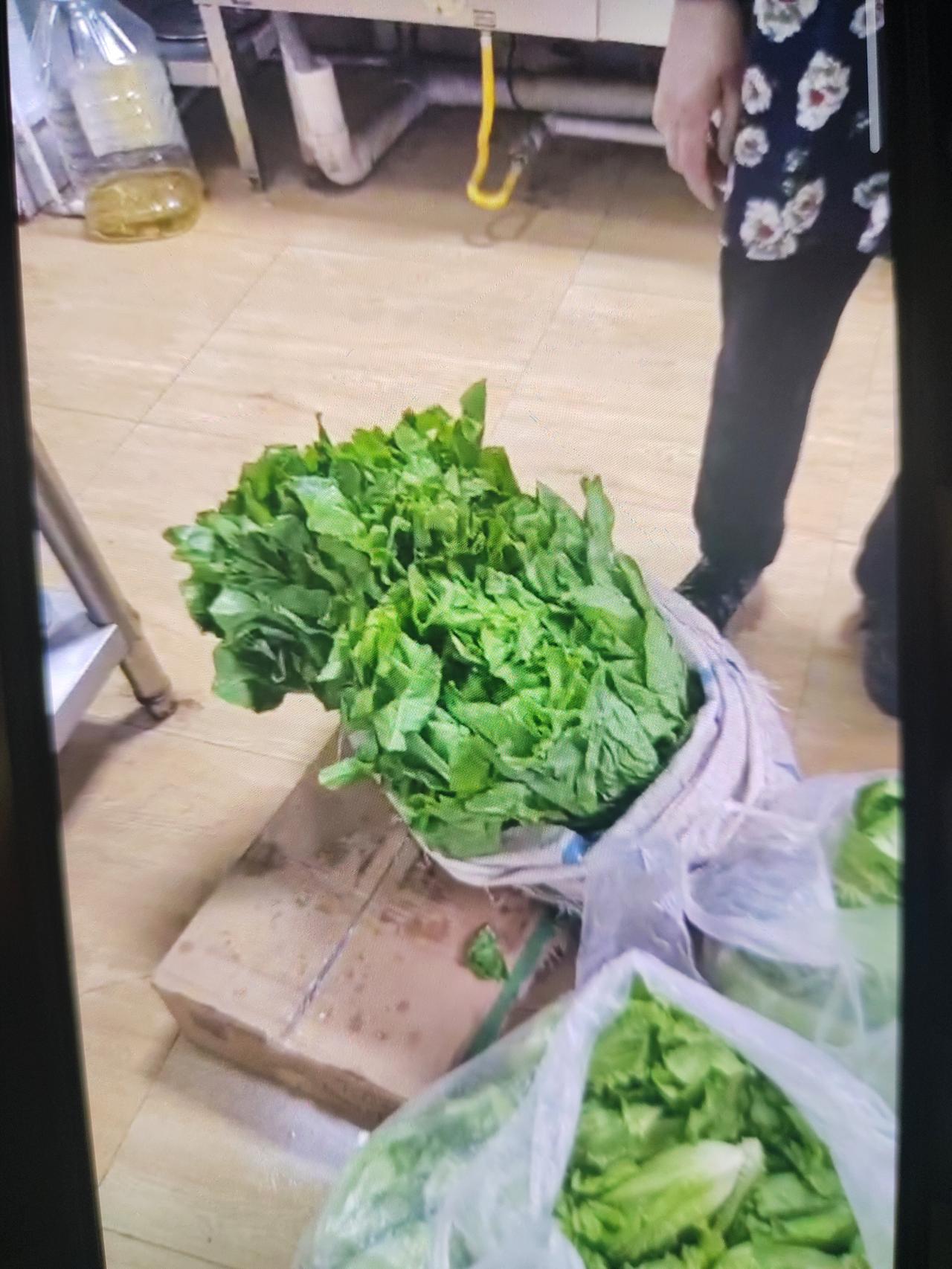 春日生活打卡季绿油油的青菜走进社区食堂。