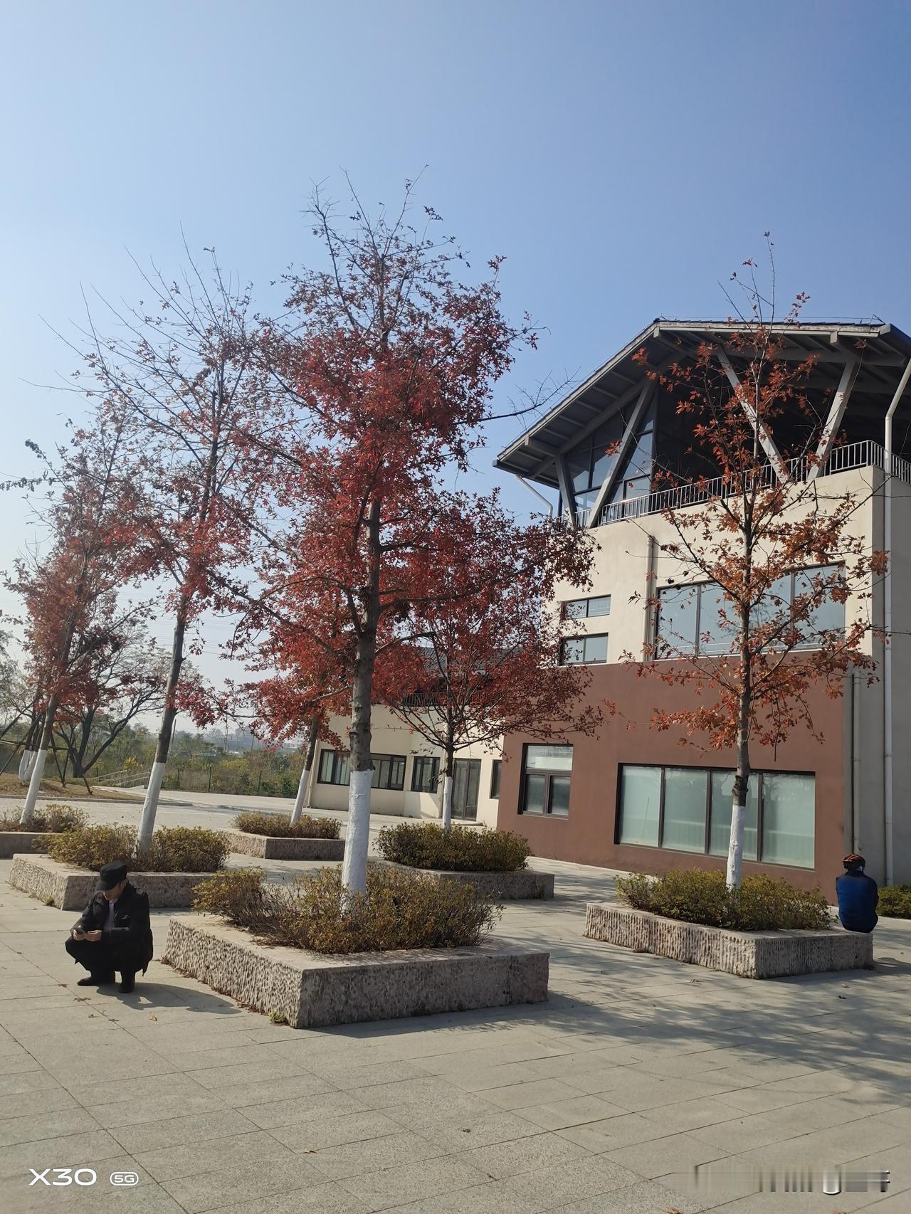 浙江江山市贺村镇沙洲公园，贺村镇沙洲公园是周末带娃出去玩的好地方。
 
该公园占