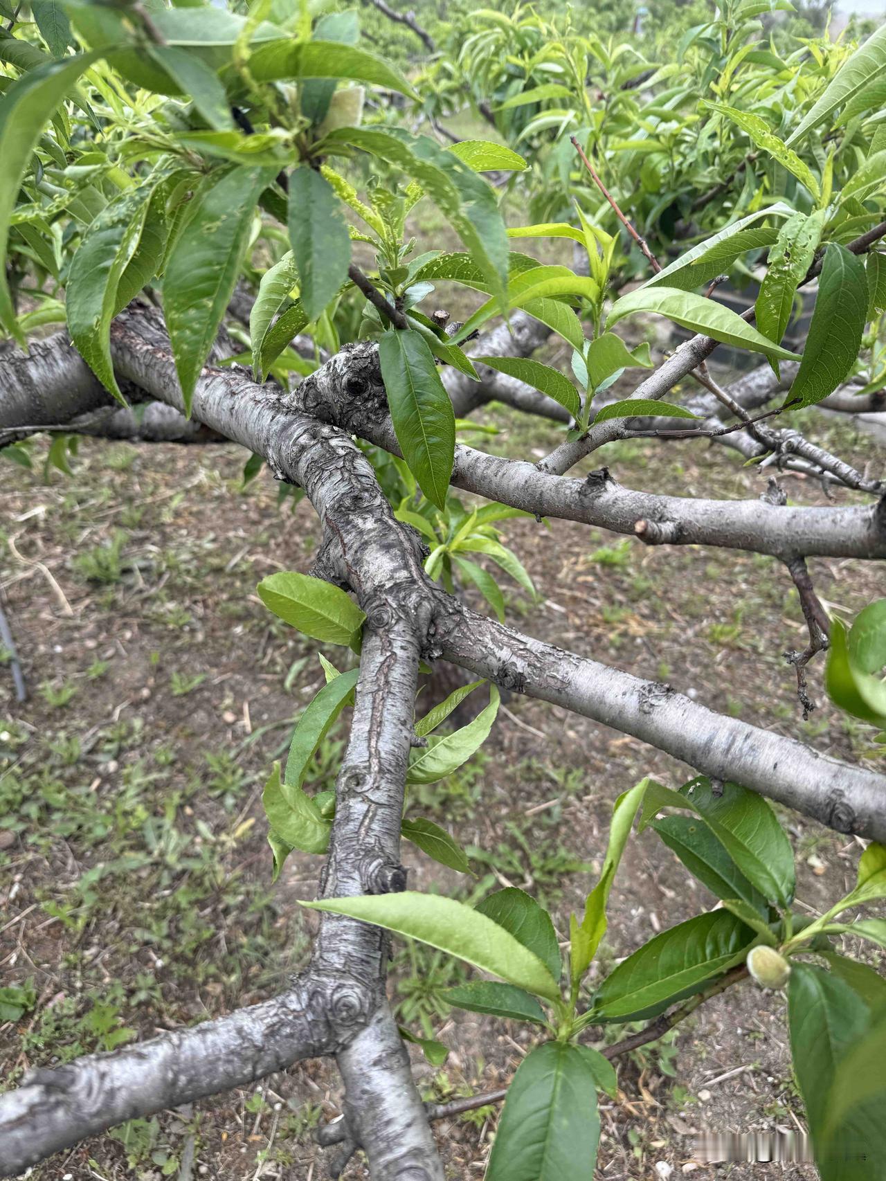 【小对联】
上：……？
下：小钱。