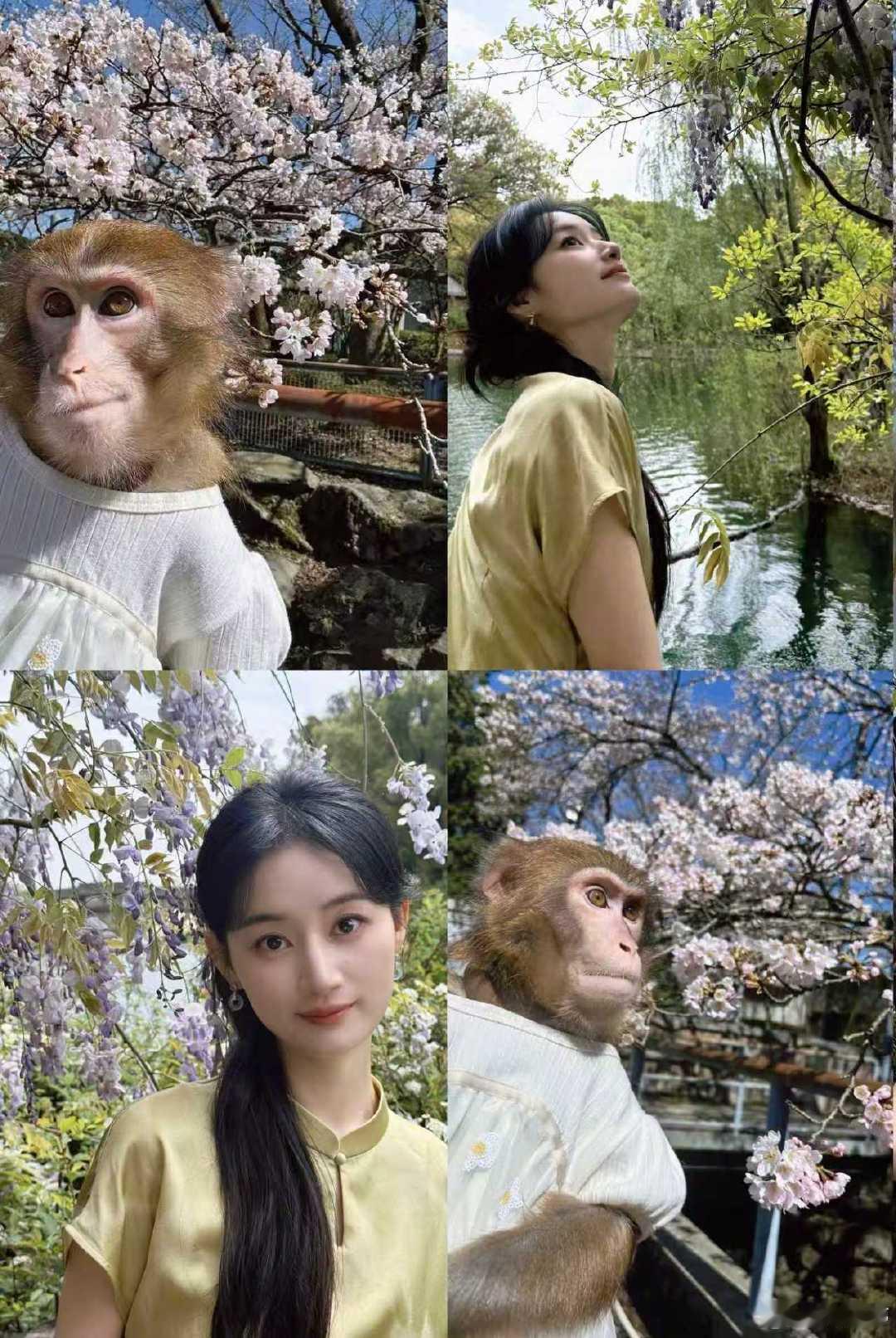 郭晓婷美好一天交换好运郭晓婷模仿小猴子拍照 郭晓婷美好一天 交换好运  模仿小猴