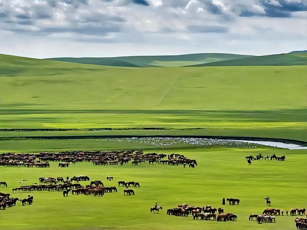 春日生活打卡季 千里草原牧马行，天地一片绿意生。
