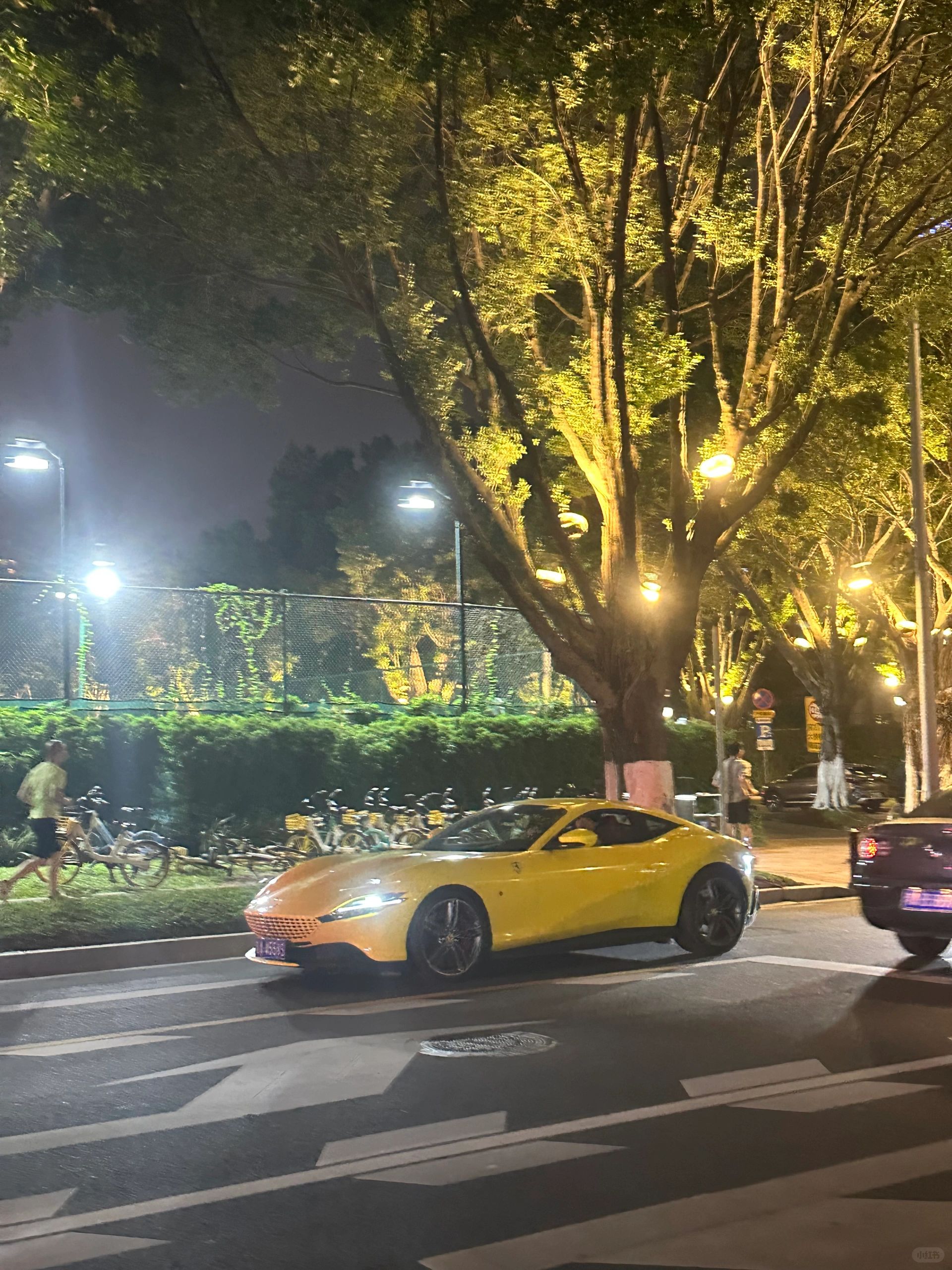 只要法拉利开得快，没有悲伤只有爱