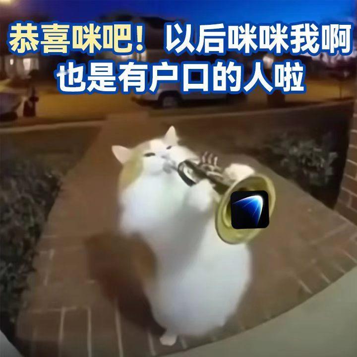 发现一种很新的撸猫方式玩赚灵光万物皆可搓 周末别去景区人挤人啦！跟着灵光App冲