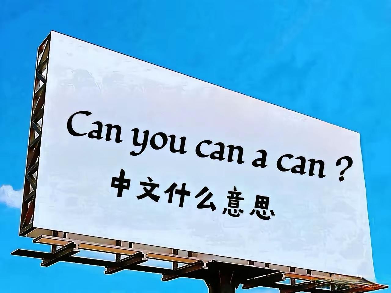 中文是什么意思？