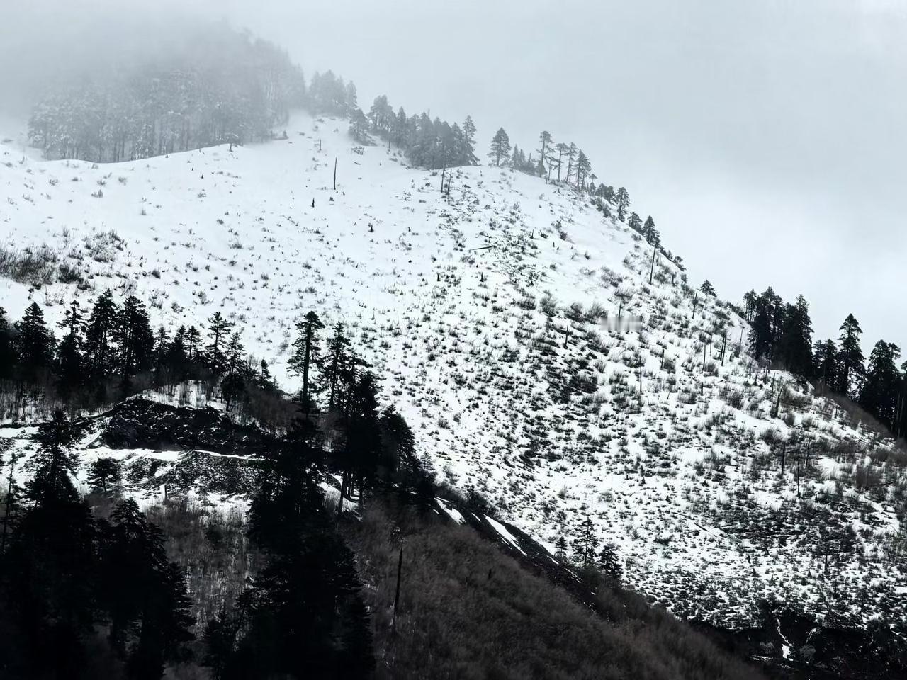翻越海拔4千多米的碧罗雪山，从怒江州贡山县来到迪庆州德钦县，本来打算欣赏梅里雪山