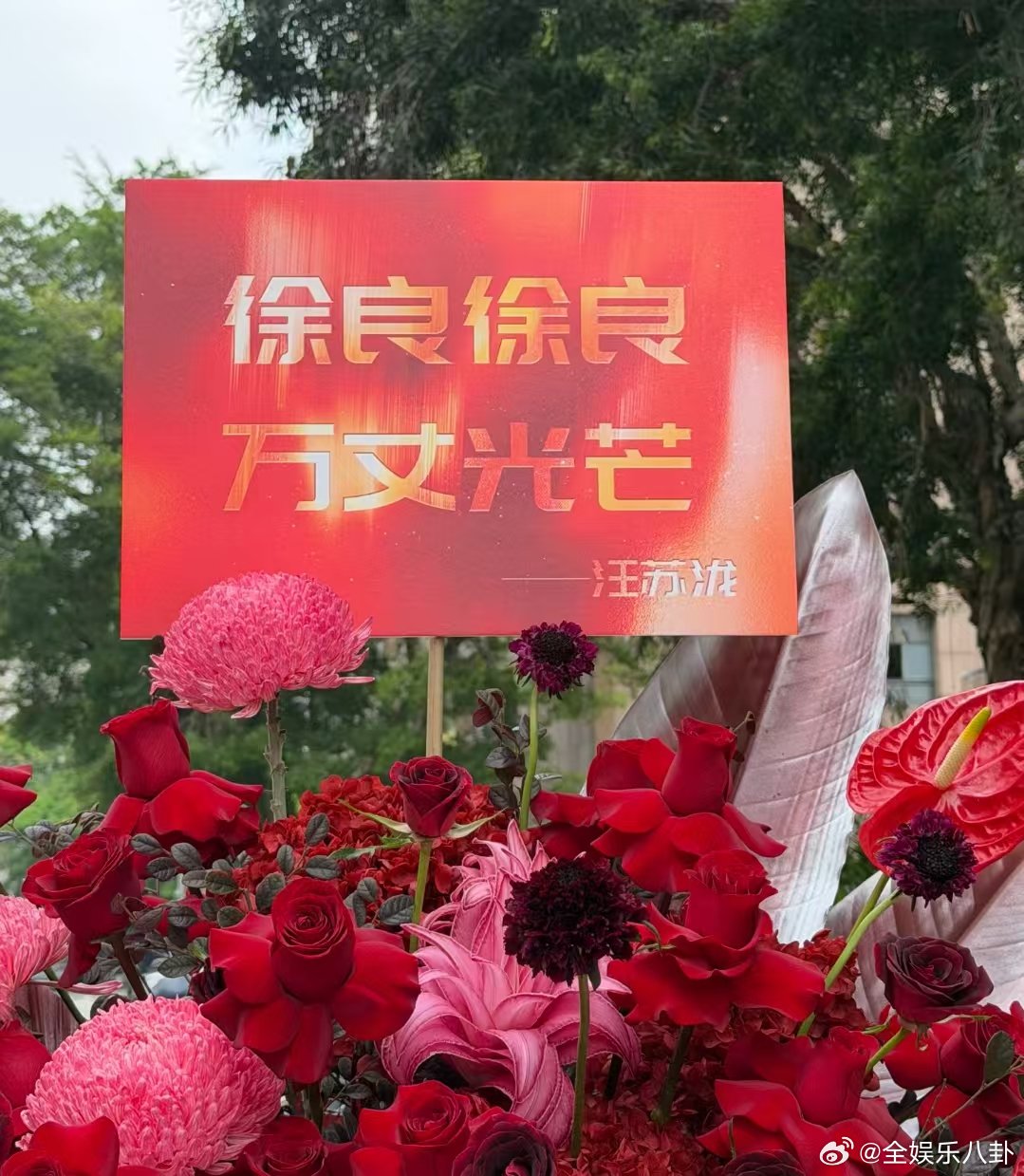 汪苏泷给徐良演唱会送花篮 汪苏泷给徐良演唱会送了20个红色应援花篮，10多年的友