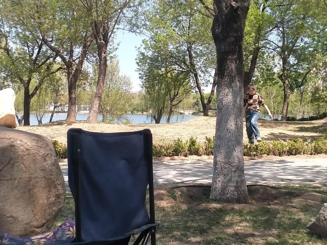 求分享手机摄影作品随手拍。