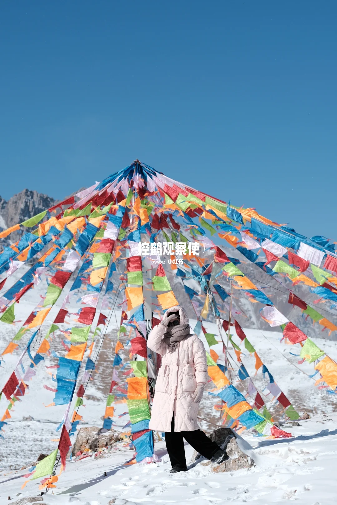 福幡飞舞雪山边，听说🏔️可以治愈一切