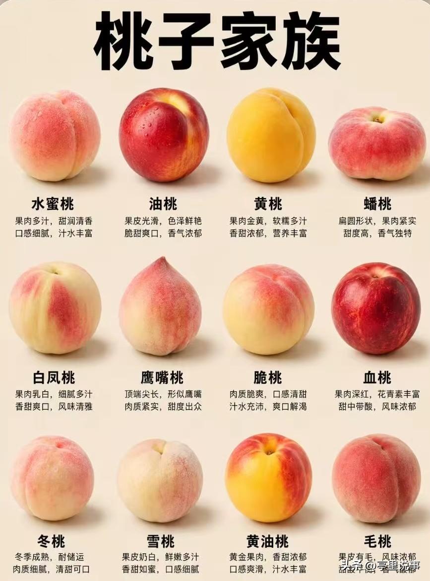 桃子家族一张图
我就是喜欢这种图文简洁的科普，一目了然，有图有对比。
水果