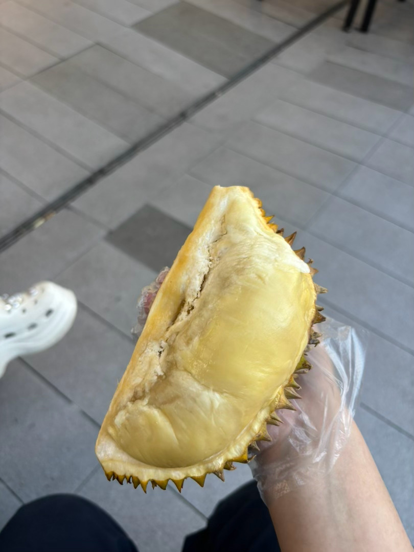 我的爱人 