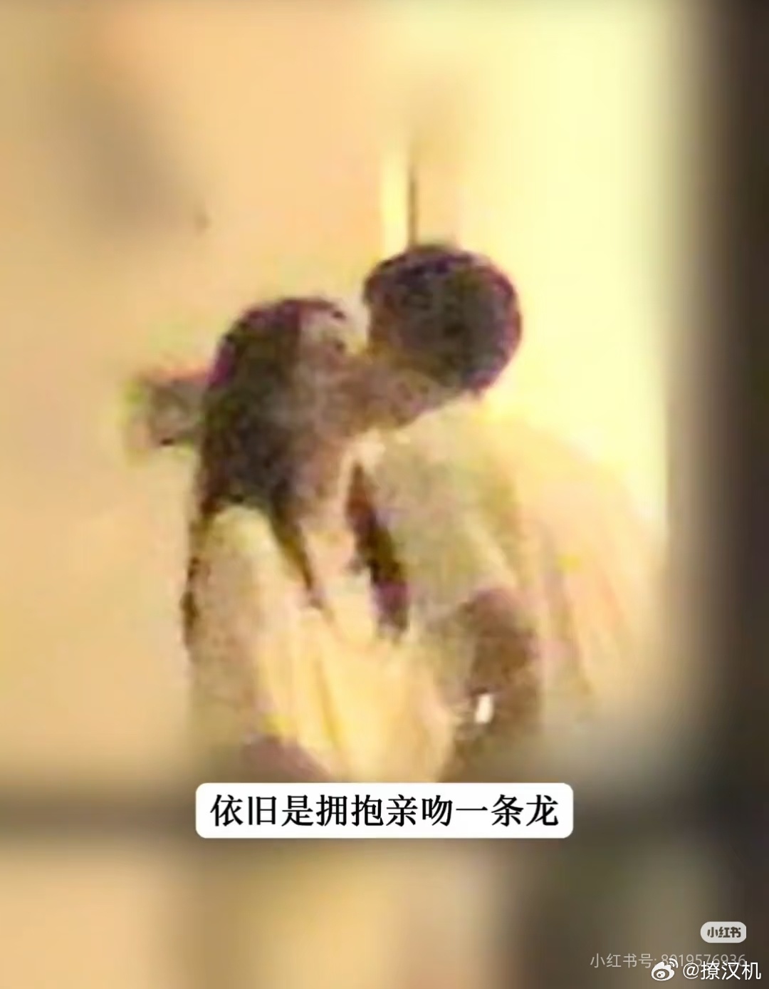 拉窗帘周也的瓜告诉大家要拉窗帘，杨紫和刘学义的瓜告诉大家窗帘不要用透光的