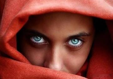 《阿富汗人在伦敦》1、我在一个英国人的账号上看到他转引一则新闻：阿富汗教育部长宣