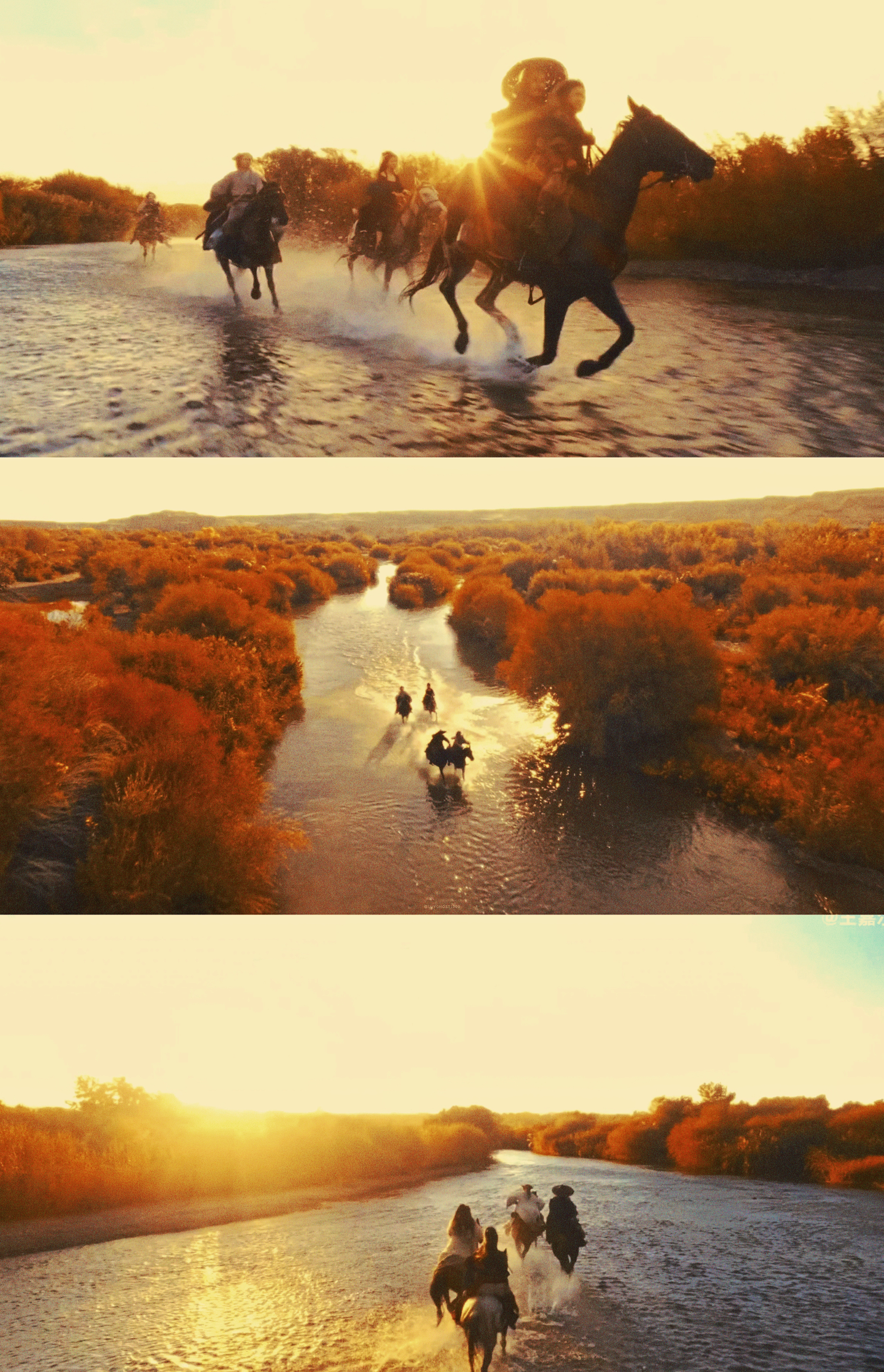 *                     🏜️镖人·大漠美学 